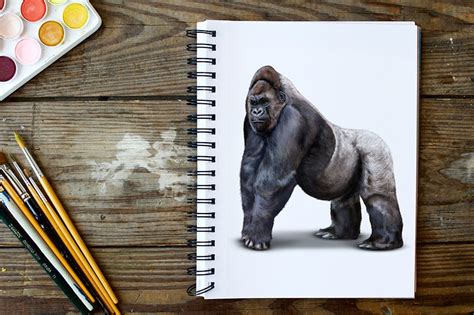 How to Draw a Gorilla - A Simple Gorilla Drawing!