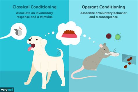 Differences Between Classical vs. Operant Conditioning