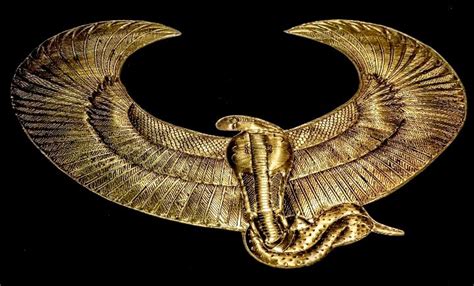 What is the Biblical Flying Serpent? - TheTorah.com