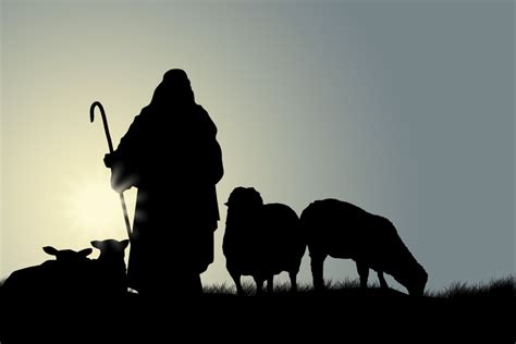 God as Our Shepherd - Pruitt Cares