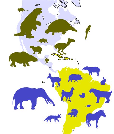 Großer Amerikanischer Faunenaustausch