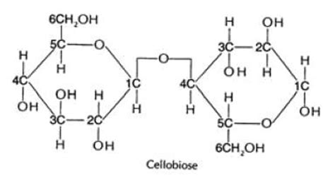 Cellobiose - Alchetron, The Free Social Encyclopedia