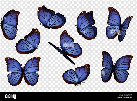 Butterfly vector. Purple isolated butterflies. Insects with bright ...