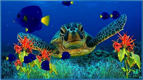 Coral reef adventure aquarium 3d screensaver 1.0 - Download free