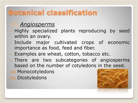 Classification of field crops | PPT