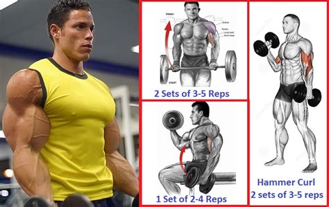 A Bicep Strength Training Routine - Bodydulding