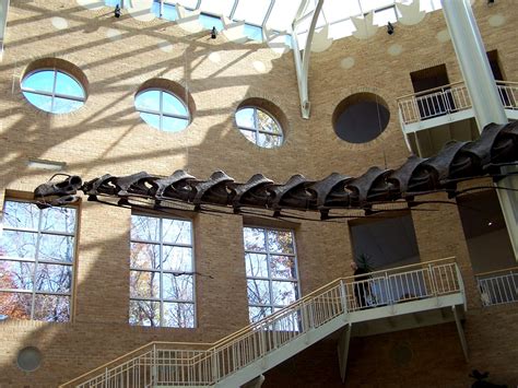 The Natural World: Museum Spotlight: Fernbank Museum of Natural History