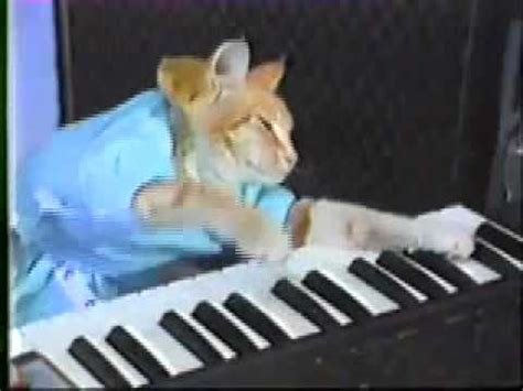 Keyboard Cat Remix! Meow! - YouTube