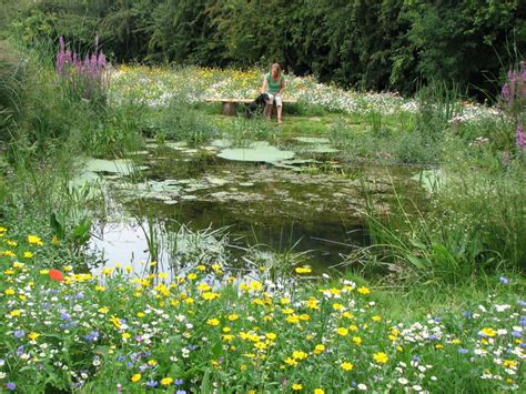 A true wildlife pond, full of life - WildPonds