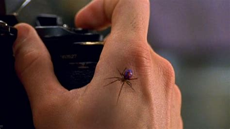 What Kind of Spider Bit Peter Parker, and Where Can It Be Found?