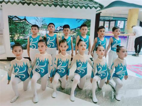 [USD 59.32] New customized children's competitive gymnastics uniforms ...