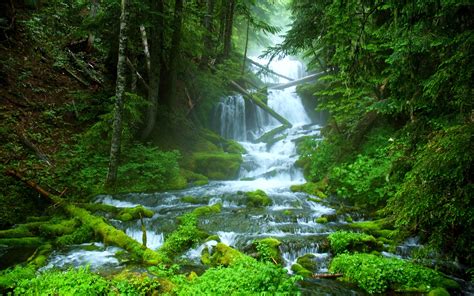 Cold Mountain waterfall - wonder of the nature