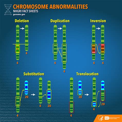 Chromosome Abnormalities Fact Sheet
