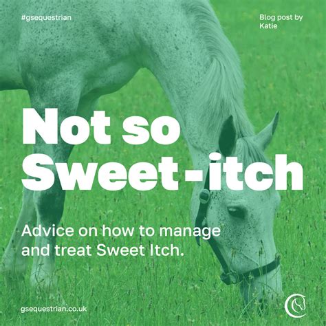 Not so Sweet-Itch: Advice on how to manage and treat Sweet Itch – GS ...