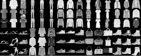 CNN using Fashion MNIST Dataset. Have you ever thought that biology ...