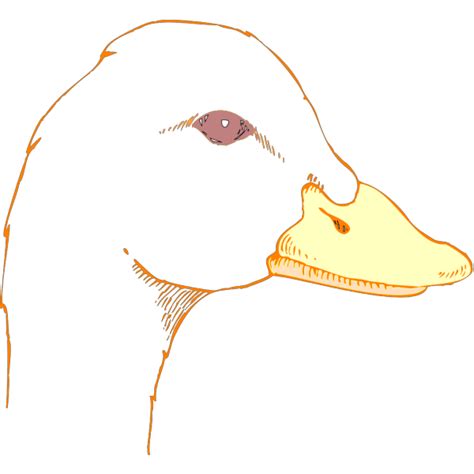 Duck Head Drawing PNG, SVG Clip art for Web - Download Clip Art, PNG Icon Arts