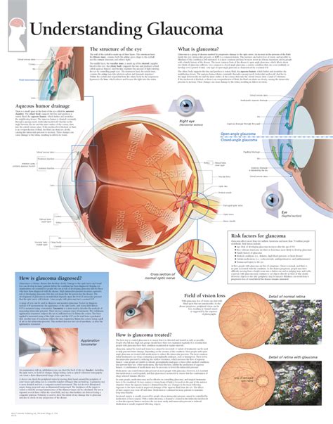 Glaucoma 2250 - Anatomical Parts & Charts