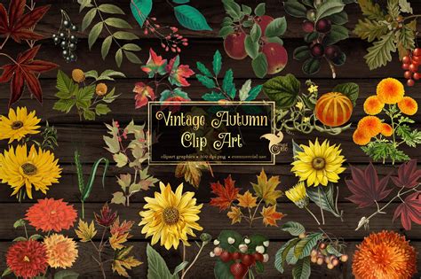 Vintage Autumn Clipart | Photoshop Graphics ~ Creative Market