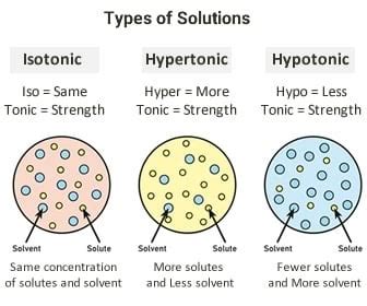 Hypotonic vs Hypertonic Solutions: A Nursing Perspective