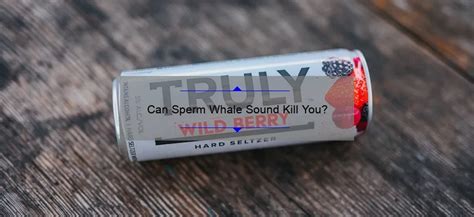 Can Sperm Whale Sound Kill You? - Sperm.Blog