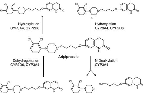 Chemical structure of aripiprazole and metabolism. | Download ...