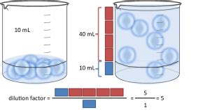 Using the dilution factor to calculate dilutions • Hemocytometer