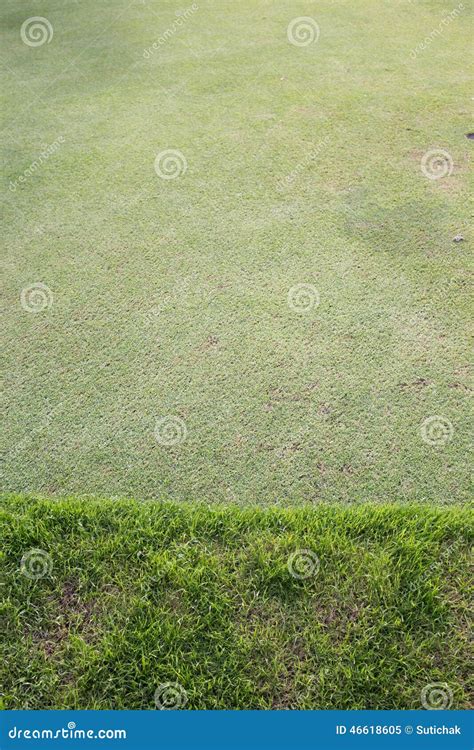 Green Grass Field Of Golf Course Stock Image - Image of color, natural ...