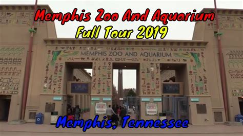 Memphis Zoo Full Tour - Memphis, Tennessee - YouTube