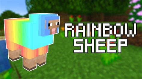 How to Make a Rainbow Sheep in Minecraft - The SportsRush