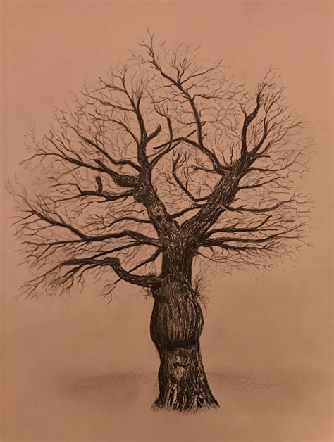 Drawing an Inspiring Tree - Christina French