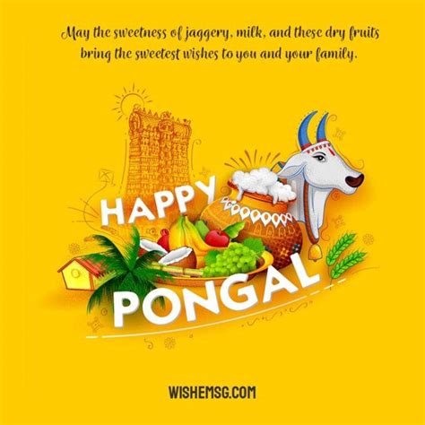 200+ Happy Pongal Wishes Quotes Images 2024 - Wishemsg.Com