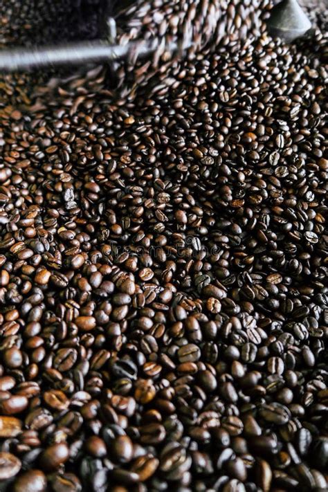 Roasting process of coffee stock photo. Image of arabica - 250093330