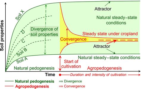 Conceptual scheme of soil development, i.e. pedogenesis, under natural... | Download Scientific ...