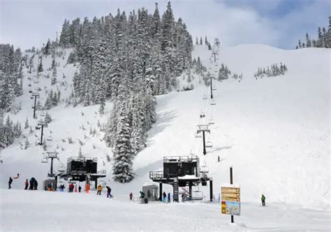 Mount Baker Ski Area Ratings | Mt Baker Ski Resort