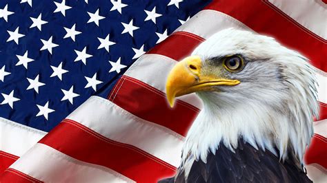 North American Bald Eagle on American flag – Cremation Services