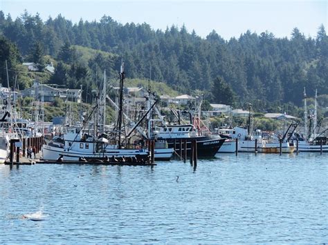 Bayfront Newport, Oregon | Flickr - Photo Sharing!