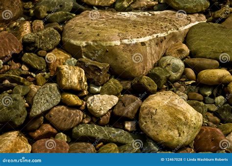 Riverbed rocks stock photo. Image of shiny, colorful - 12467028