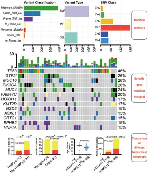 The Journal of Gene Medicine - Wiley Online Library