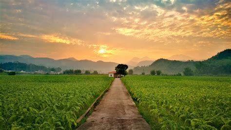 农村风景随手拍 - 花粉随手拍风光 花粉俱乐部