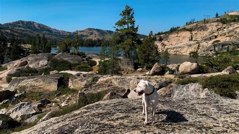 Donner Lake Rim Trail