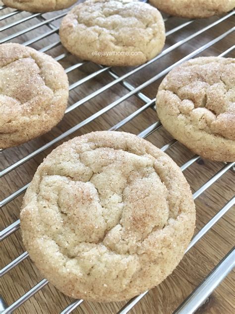 The Best Snickerdoodle Recipe + 3 Delicious Variations! - Elle Jay at Home