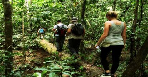 Madidi National Park, Bolivia - Assignment Point