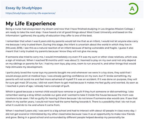 My Life Experience Essay Example | StudyHippo.com