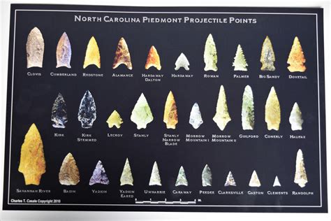 NC Piedmont Projectile Points Poster – Aurora Fossil Museum Store