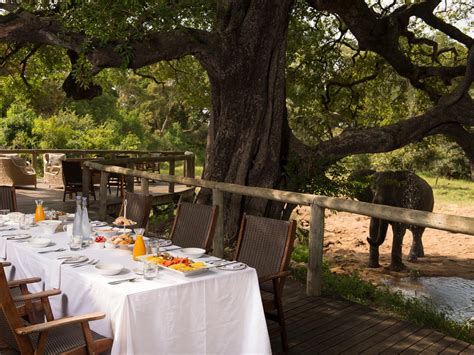 Tintswalo Safari | Reserve Your Hotel, Self-Catering, or Bed and ...