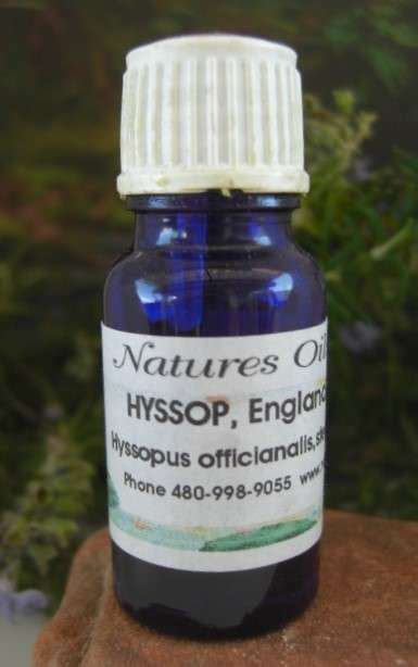 Natural Hyssop Oil for Eczema, Musicle Soreness, Blood Pressure ...