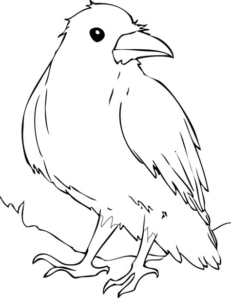 Raven Coloring Page - Bushokukoka1