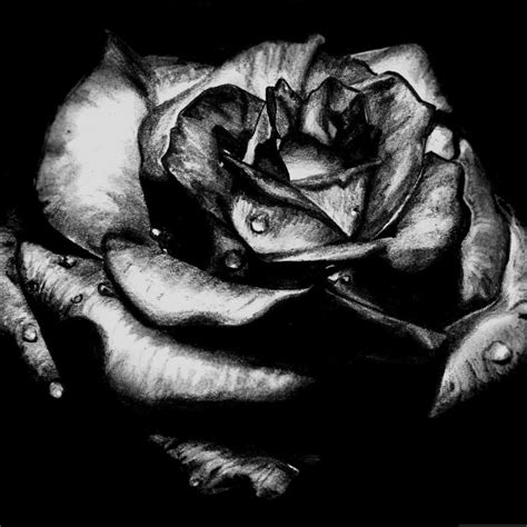 10 Best Black Rose Wallpaper Gothic FULL HD 1920×1080 For PC Background 2020