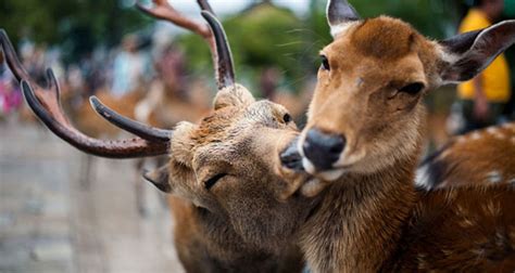 15 Heart-Warming Photographs That Prove Love is All Around Us