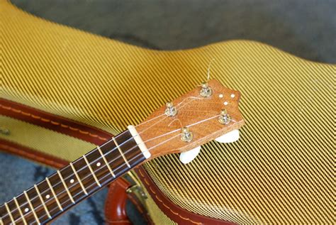 The Importance of Ukulele Nut Width - Beginners Tips